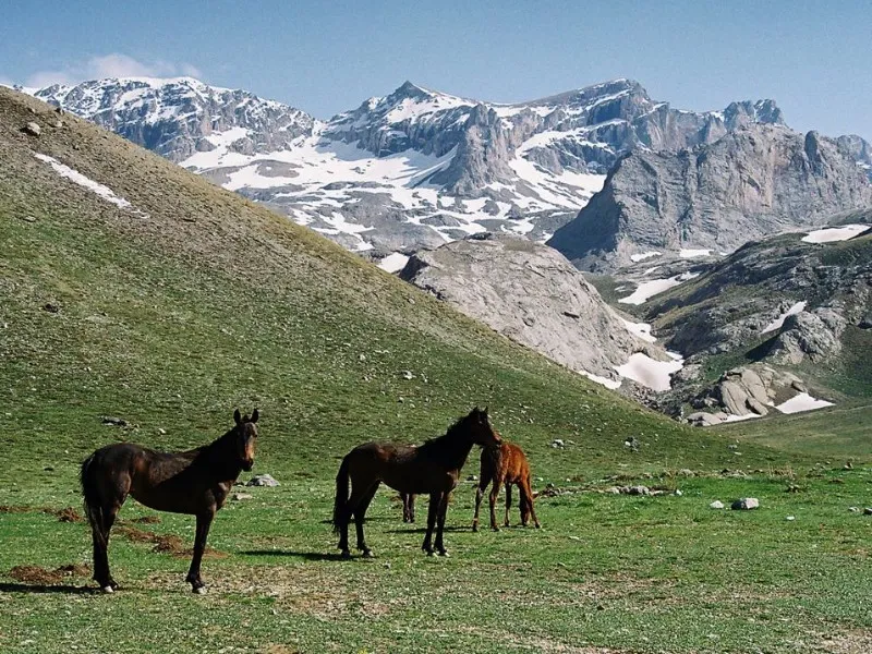 NİĞDE