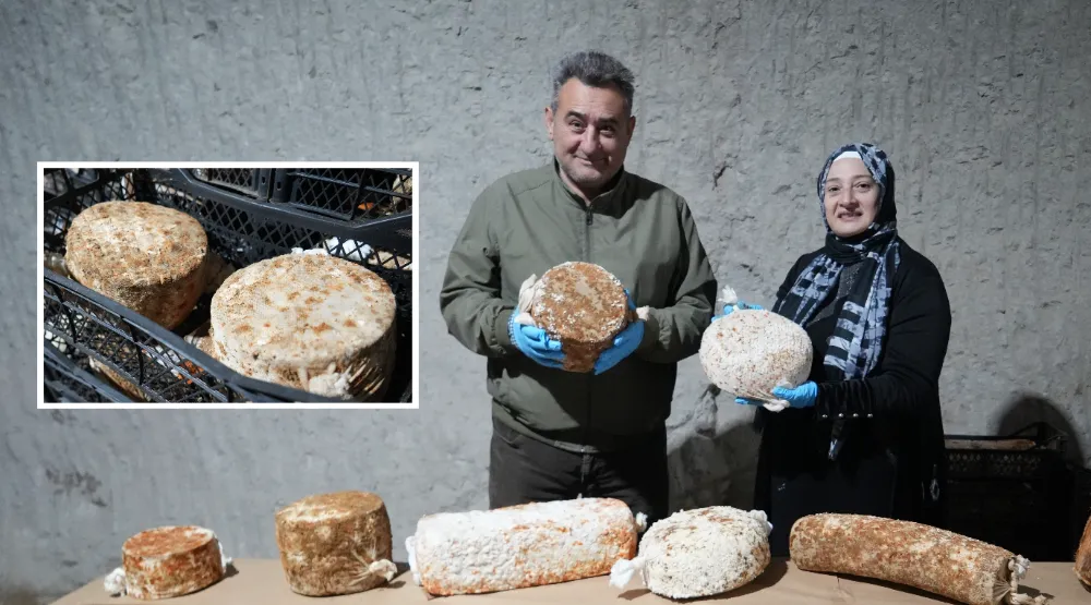 Küften gelen lezzet: Niğde’nin doğal mağara peynirleri