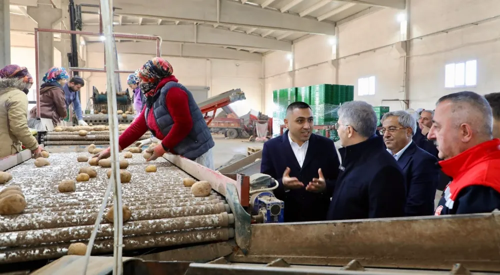 Vali Cahit Çelik, Patates üretiminde lideriz 