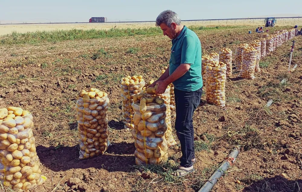 Erhan Adem, patates üreticilerinin sorunlarını dinledi 