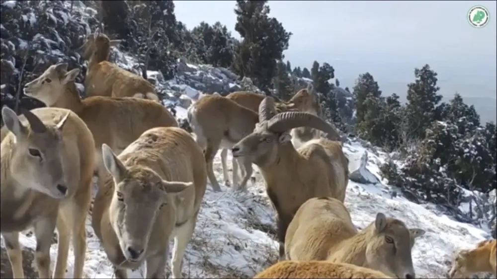 BU HABERİ OKUMADAN, AVLANMAYA ÇIKMAYIN ! 