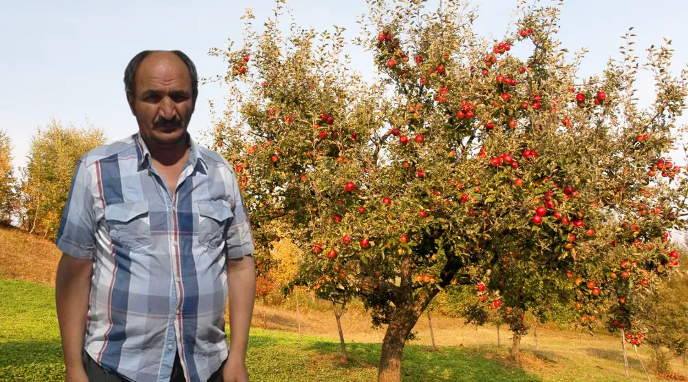 ELMA AĞACINDAN DÜŞEREK HAYATINI KAYBETTİ 