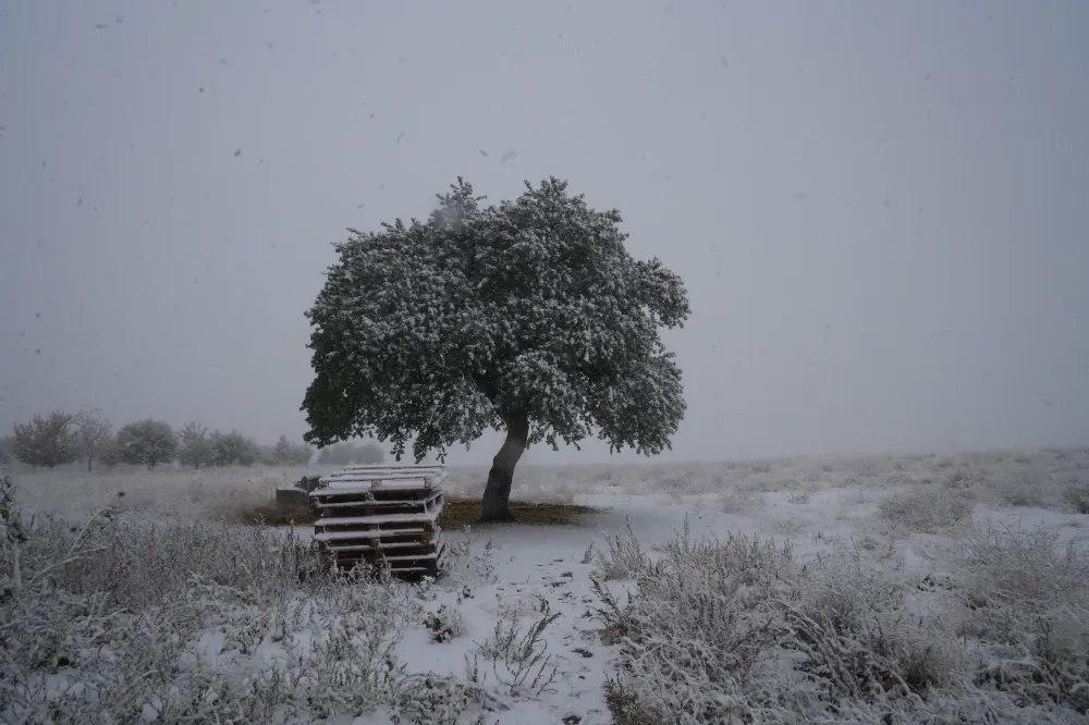 Niğde