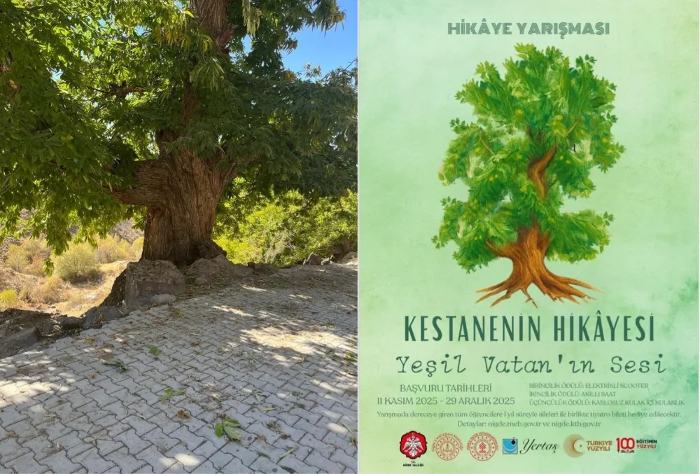 Doğadan ilham alan yarışma