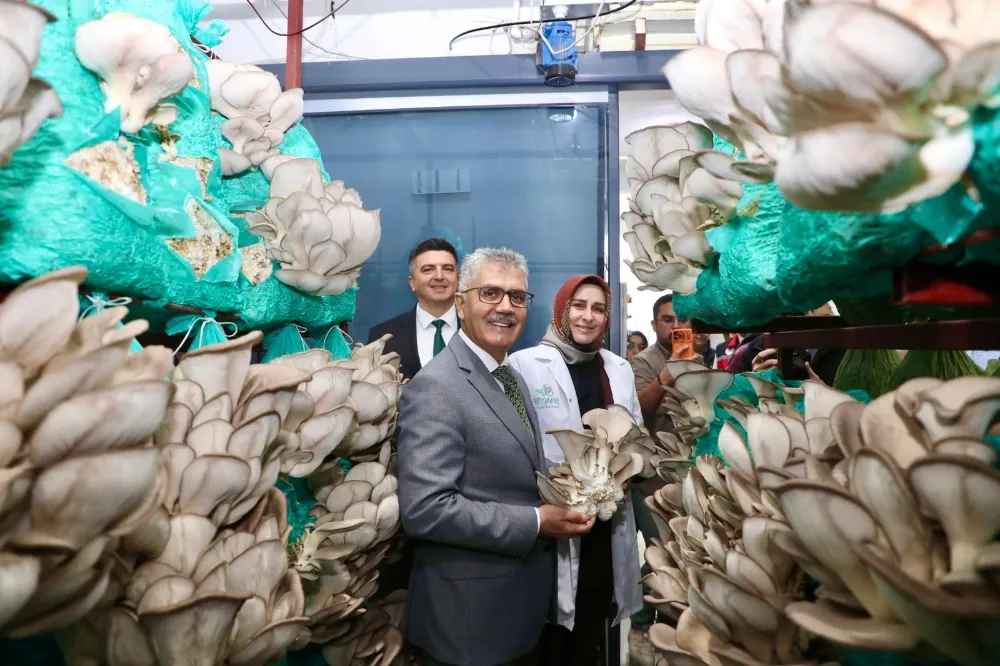 Niğde Valisi Çelik