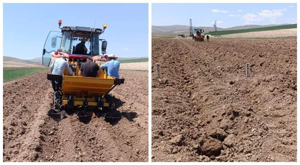 Yerli ve Milli Tohumda Dev Adım: NAHİTA Patatesi Kayseri