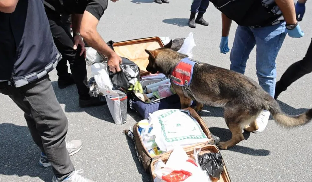 Yolcu otobüsündeki valizden kaçak sigara çıktı