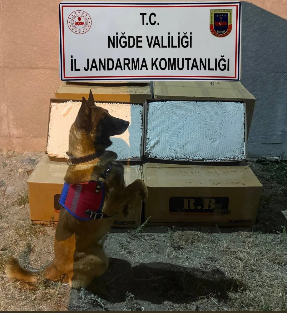 Niğde