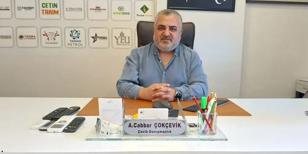 Çevik Danışmanlık