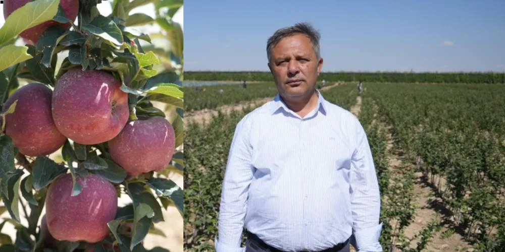 Don zararı Niğde’de elma rekoltesini yüzde 95 oranında düşürdü