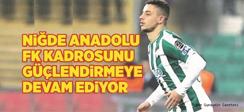 Niğde Anadolu FK kadrosunu güçlendirmeye devam ediyor