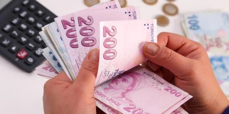 Hane başına 7 bin 200 lira verilecek: Başvurular e-Devlet üzerinden başladı
